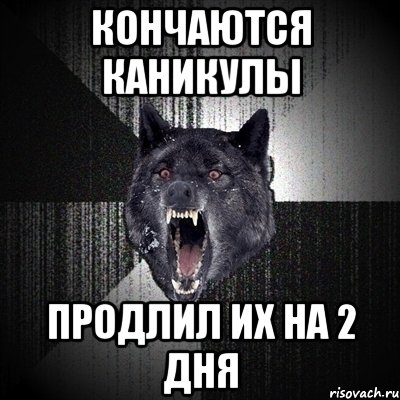 Кончаются каникулы Продлил их на 2 дня, Мем Сумасшедший волк
