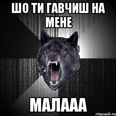 шо ти гавчиш на мене малааа, Мем Сумасшедший волк
