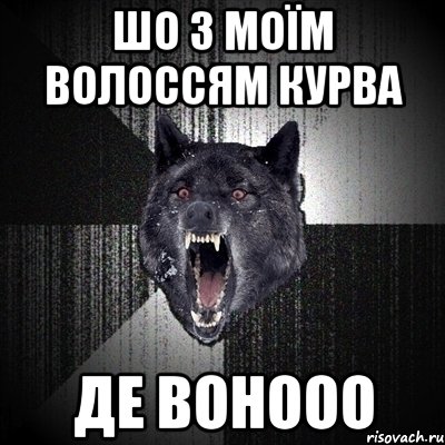 шо з моїм волоссям курва де вонооо, Мем Сумасшедший волк