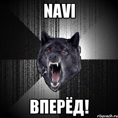 NAVI ВПЕРЁД!, Мем Сумасшедший волк