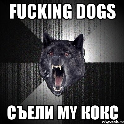 Fucking dogs Съели my кокс, Мем Сумасшедший волк