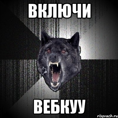 ВКЛЮЧИ ВЕБКУУ