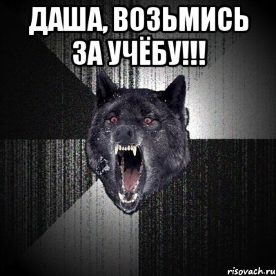 Даша, возьмись за учёбу!!! , Мем Сумасшедший волк