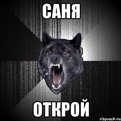 Саня открой, Мем Сумасшедший волк