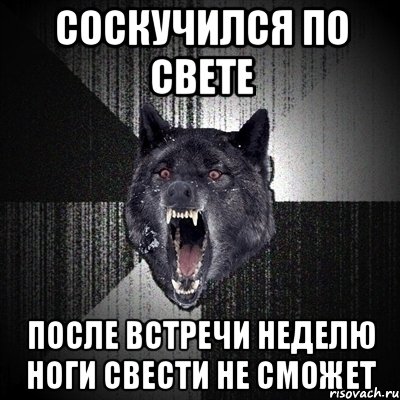 соскучился по свете после встречи неделю ноги свести не сможет, Мем Сумасшедший волк