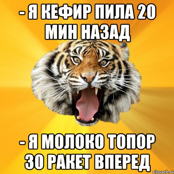 - я кефир пила 20 мин назад - я молоко топор 30 ракет вперед