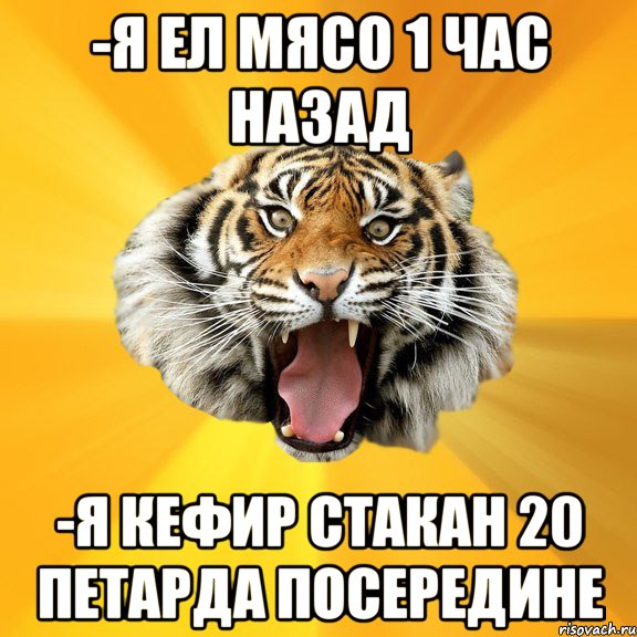 -Я ел мясо 1 час назад -Я кефир стакан 20 петарда посередине, Мем СУМАСШЕДШИЙ ТИГР