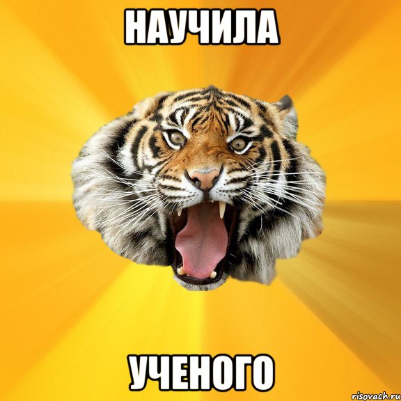 НАУЧИЛА УЧЕНОГО