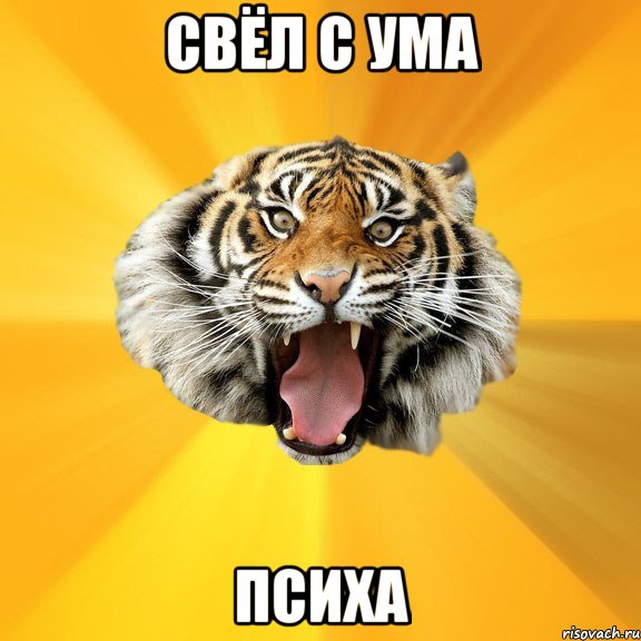 свёл с ума психа, Мем СУМАСШЕДШИЙ ТИГР