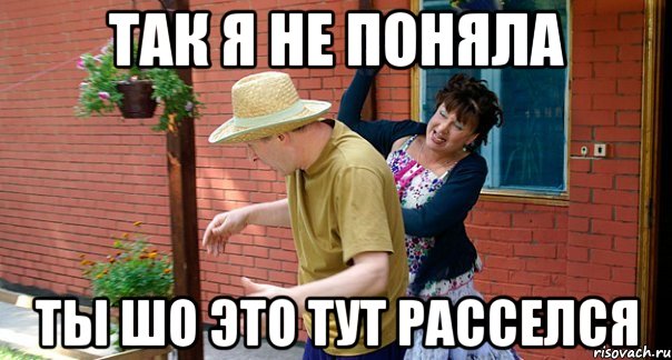 Так я не поняла Ты шо это тут расселся