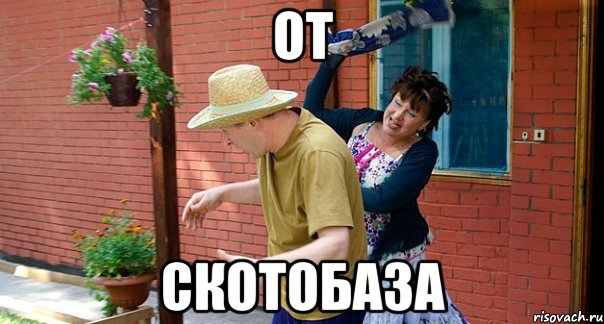 От Скотобаза