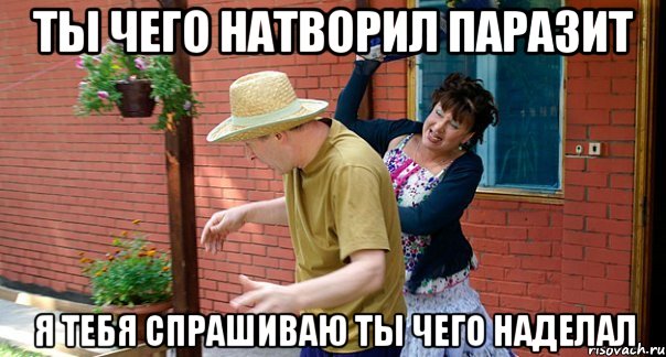 Ты чего натворил паразит Я тебя спрашиваю ты чего наделал