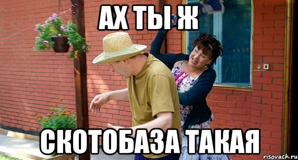 Ах ты ж Скотобаза такая