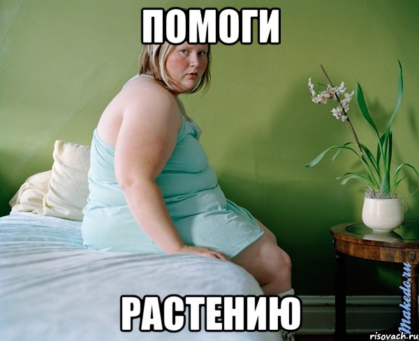 ПОМОГИ РАСТЕНИЮ