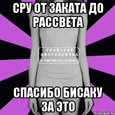 Сру от заката до рассвета Спасибо бисаку за это, Мем Типичная анорексичка