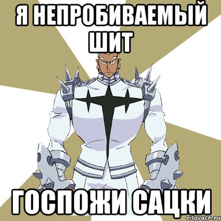 я непробиваемый шит госпожи сацки