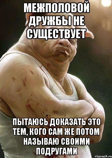 межполовой дружбы не существует пытаюсь доказать это тем, кого сам же потом называю своими подругами
