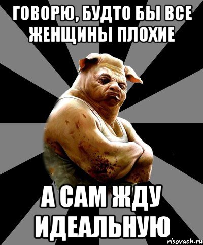 говорю, будто бы все женщины плохие а сам жду идеальную
