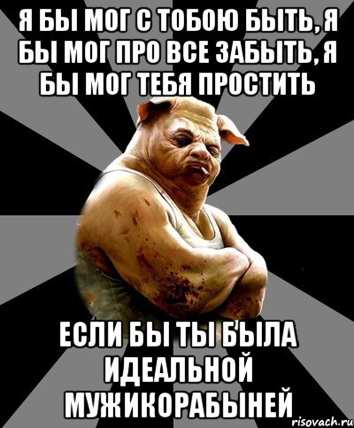 я бы мог с тобою быть, я бы мог про все забыть, я бы мог тебя простить если бы ты была идеальной мужикорабыней