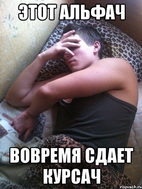 Этот альфач Вовремя сдает курсач