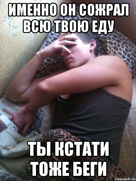 Именно он сожрал всю твою еду Ты кстати тоже беги