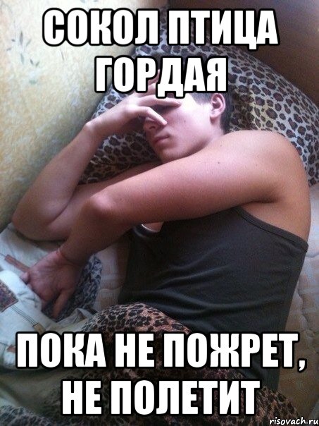 Сокол птица гордая Пока не пожрет, не полетит