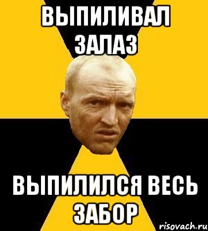 выпиливал залаз выпилился весь забор