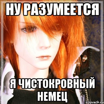 ну разумеется я чистокровный немец