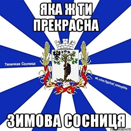 яка ж ти прекрасна зимова сосниця
