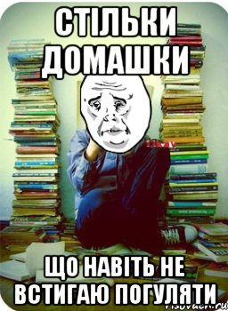 стільки домашки що навіть не встигаю погуляти