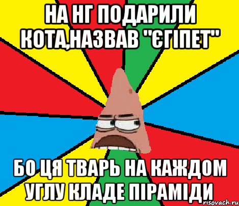 На НГ подарили кота,назвав "Єгіпет" Бо ця тварь на каждом углу кладе піраміди