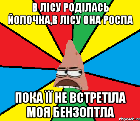 В лісу роділась йолочка,в лісу она росла пока її не встретіла моя бензоптла