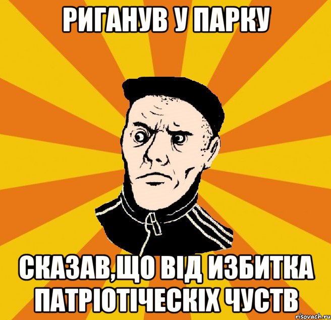 риганув у парку сказав,що від избитка патріотіческіх чуств, Мем Типовий Титушка