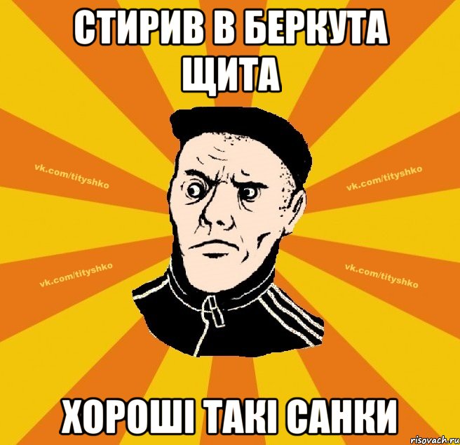 стирив в беркута щита хороші такі санки
