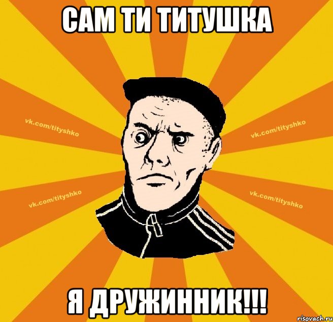Сам ти титушка Я дружинник!!!