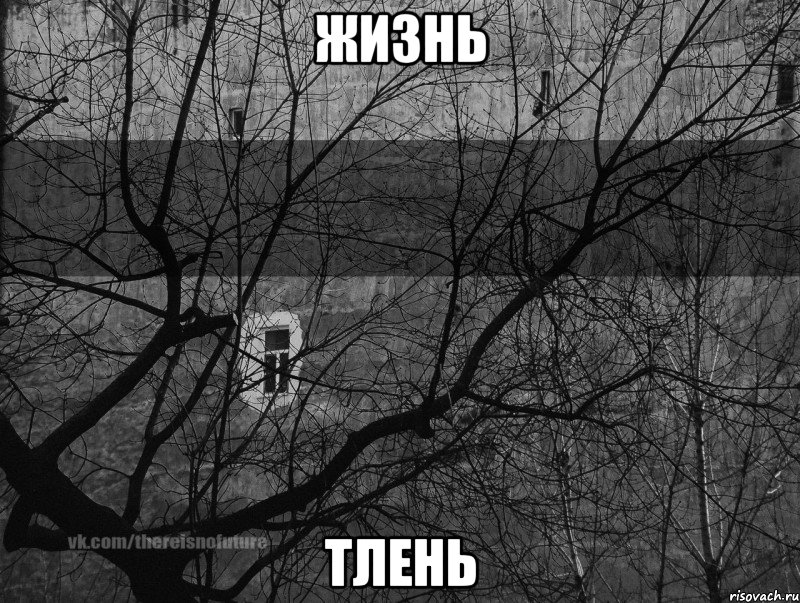 Жизнь Тлень, Мем Тлен