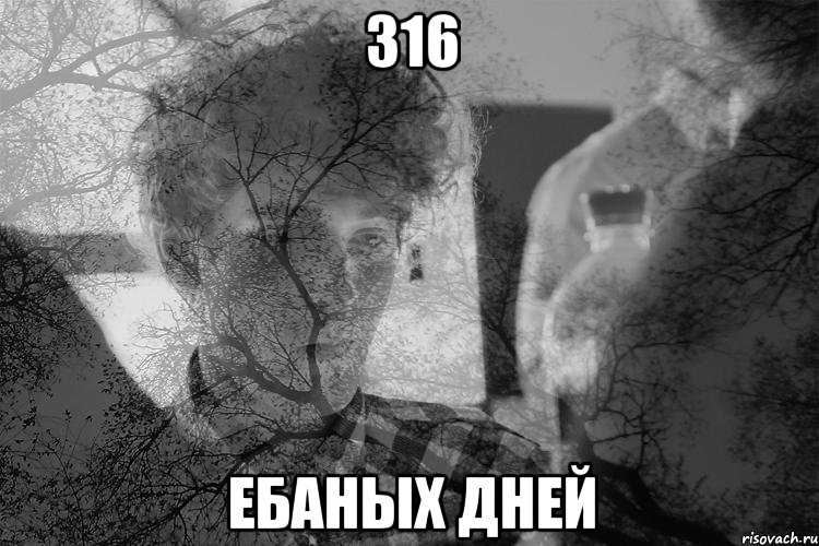 316 ебаных дней