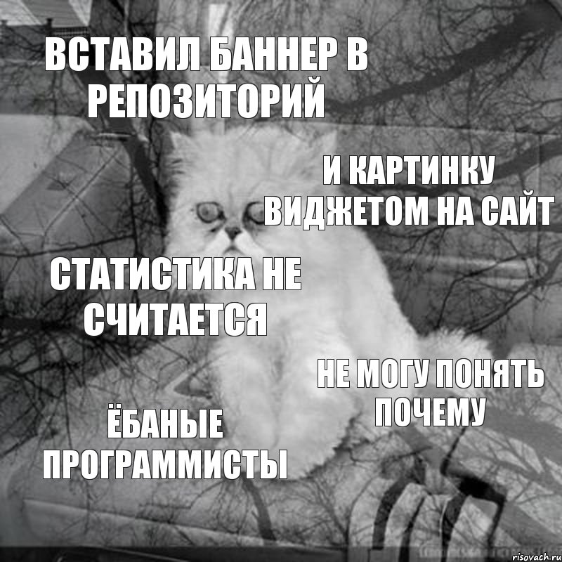 Вставил баннер в репозиторий И картинку виджетом на сайт Статистика не считается Не могу понять почему Ёбаные программисты