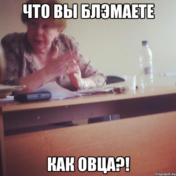 ЧТО ВЫ БЛЭМАЕТЕ КАК ОВЦА?!