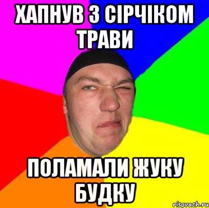Хапнув з сірчіком трави Поламали жуку будку