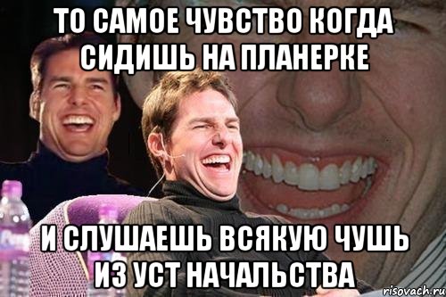 То самое чувство когда сидишь на планерке и слушаешь всякую чушь из уст начальства, Мем том круз