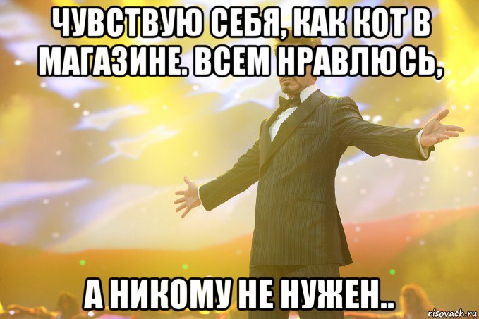 чувствую себя, как кот в магазине. Всем нравлюсь, а никому не нужен.., Мем Тони Старк (Роберт Дауни младший)