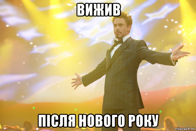 ВИЖИВ ПІСЛЯ НОВОГО РОКУ, Мем Тони Старк (Роберт Дауни младший)