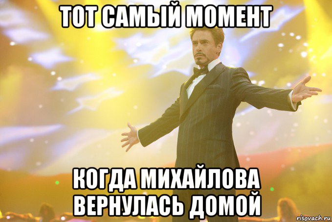 тот самый момент когда михайлова вернулась домой, Мем Тони Старк (Роберт Дауни младший)
