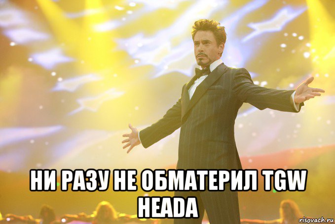  Ни разу не обматерил TGW Heada, Мем Тони Старк (Роберт Дауни младший)