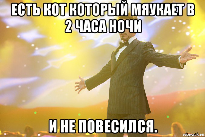 Есть кот который мяукает в 2 часа ночи и не повесился., Мем Тони Старк (Роберт Дауни младший)