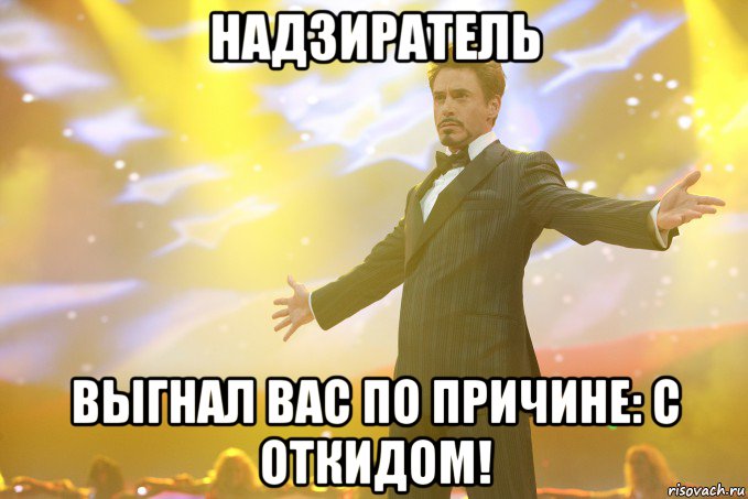 Надзиратель выгнал вас по причине: С откидом!, Мем Тони Старк (Роберт Дауни младший)