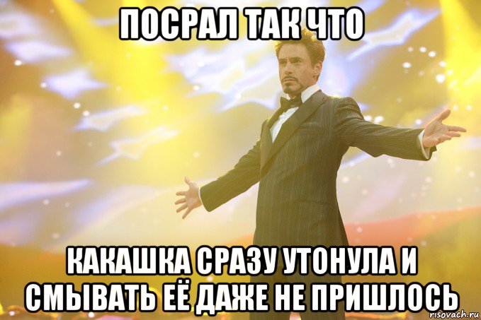 посрал так что какашка сразу утонула и смывать её даже не пришлось, Мем Тони Старк (Роберт Дауни младший)