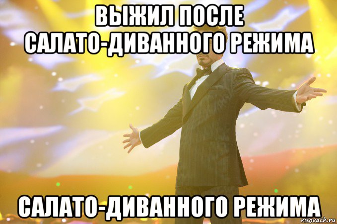 Выжил после салато-диванного режима салато-диванного режима, Мем Тони Старк (Роберт Дауни младший)