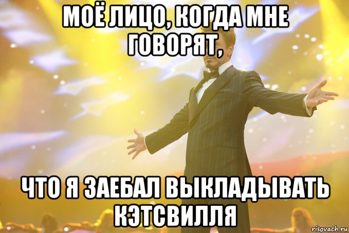 Моё лицо, когда мне говорят, что я заебал выкладывать Кэтсвилля, Мем Тони Старк (Роберт Дауни младший)